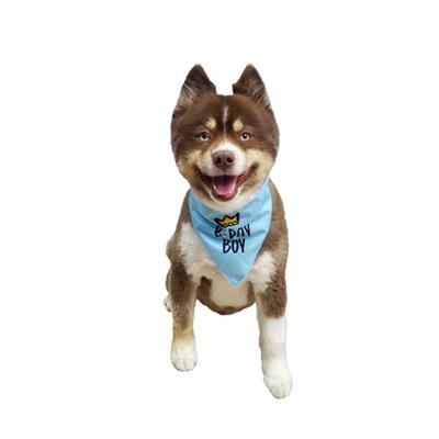 Dog Wearing Barker's Bowtique Blue Birthday Boy Reversible Scrunchy Dog Bandana