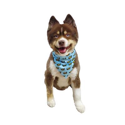 Dog Wearing Barker's Bowtique Blue Birthday Boy Reversible Scrunchy Dog Bandana
