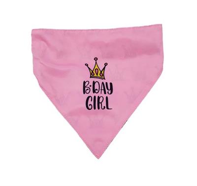Barker's Bowtique Pink Birthday Girl Reversible Scrunchy Dog Bandana Front View