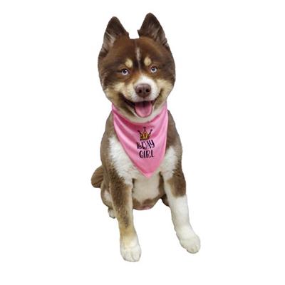 Dog wearing Barker's Bowtique Pink Birthday Girl Reversible Scrunchy Dog Bandana