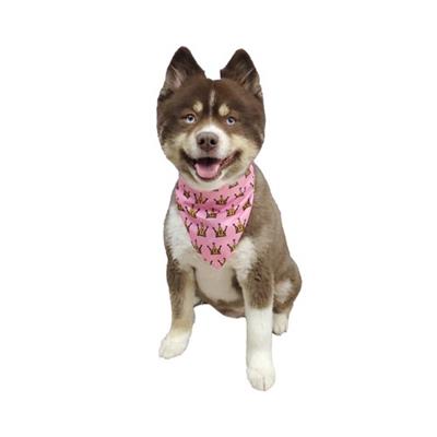 Dog Wearing Barker's Bowtique Pink Birthday Girl Reversible Scrunchy Dog Bandana
