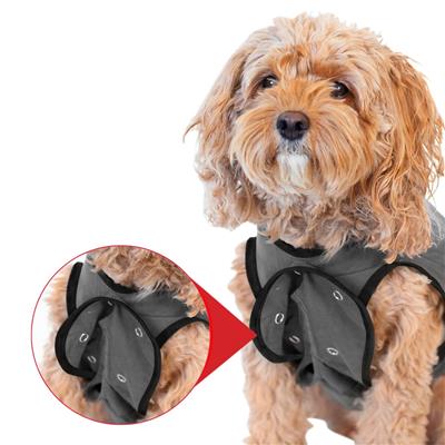 BellyGuard Post Surgery Recovery Suit
