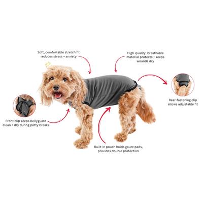 BellyGuard Post Surgery Recovery Suit