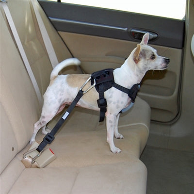 Bergan dog outlet auto harness