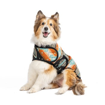 Dog wearing Chilly Dog Black Canyon Blanket Coat