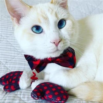 Huxley & Kent Buffalo Check Dog Bow Tie