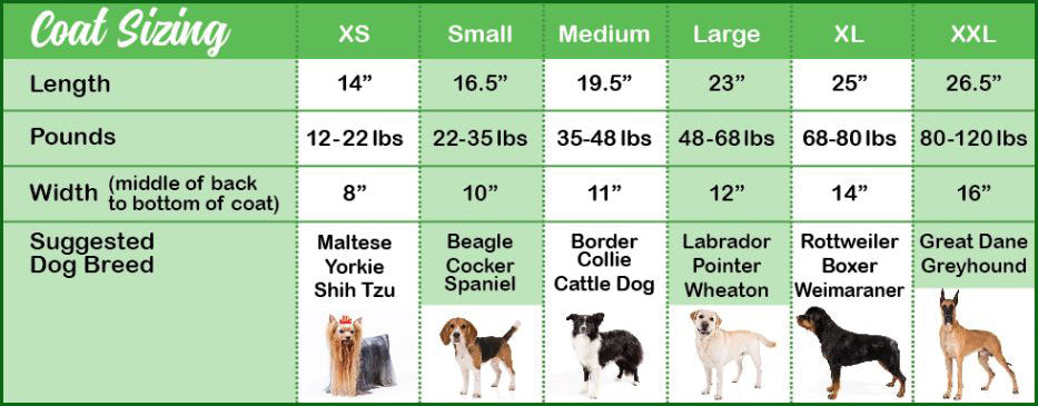 Camp Green Blanket Dog Coat