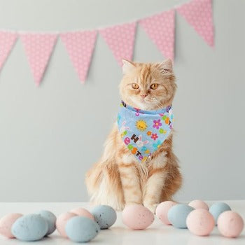 Colorful Easter Dog or Cat Bandana