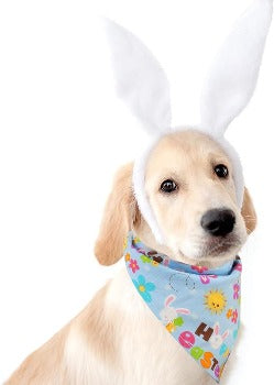 Colorful Easter Dog or Cat Bandana