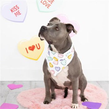 Pearhead Conversation Hearts Over the Collar Dog Bandana