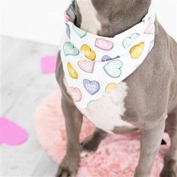 Pearhead Conversation Hearts Over the Collar Dog Bandana