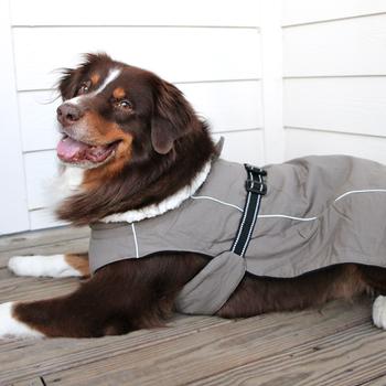 Alpine Tuf Terrain Dog Coat (3 Colors)