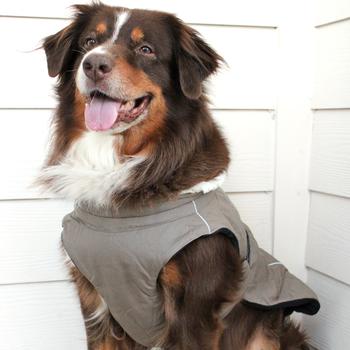 Alpine Tuf Terrain Dog Coat (3 Colors)