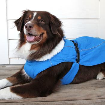 Alpine Tuf Terrain Dog Coat (3 Colors)