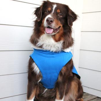 Alpine Tuf Terrain Dog Coat (3 Colors)