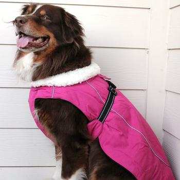 Alpine Tuf Terrain Dog Coat (3 Colors)