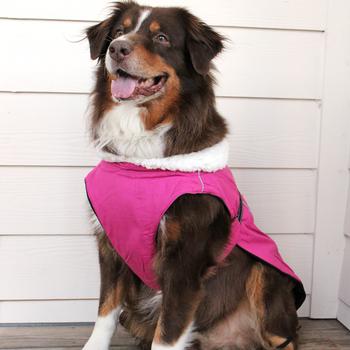Alpine Tuf Terrain Dog Coat (3 Colors)