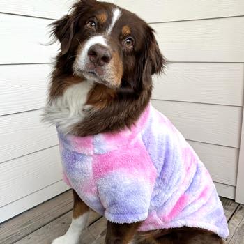 Dog wearing a tie-dye sweater standing on a wooden floor.