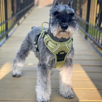 Venture Paw Pull Control Dog Harness (5 Colors)