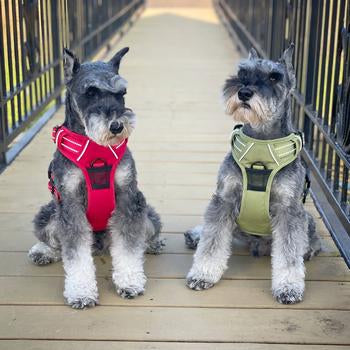 Venture Paw Pull Control Dog Harness (5 Colors)