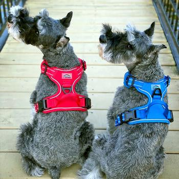Venture Paw Pull Control Dog Harness (5 Colors)