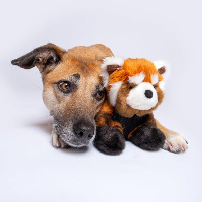 Archie Red Panda Toy