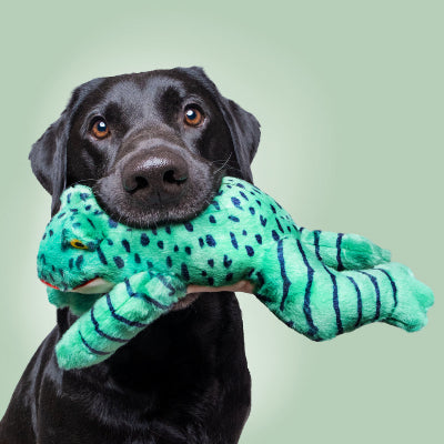 Oliver Frog Toy