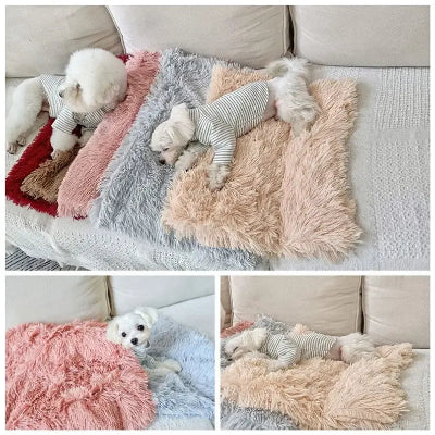 Collage of a small white dog lying on fluffy pink, gray, and beige blankets.