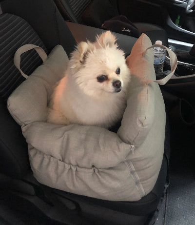 Small white dog in a pet seat in a car with a water bottle on the dashboard.