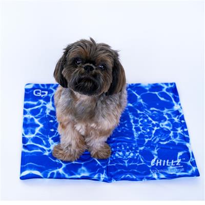 Chillz Gel Cooling Mat