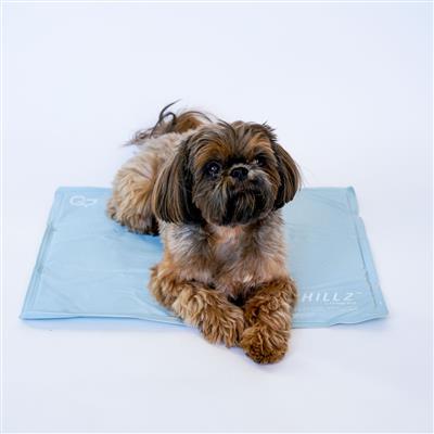 Chillz Gel Cooling Mat