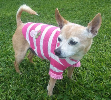 Hip Doggie Pink Stripe Cherry Hoodie