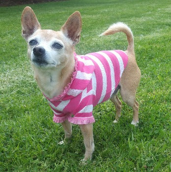 Hip Doggie Pink Stripe Cherry Hoodie