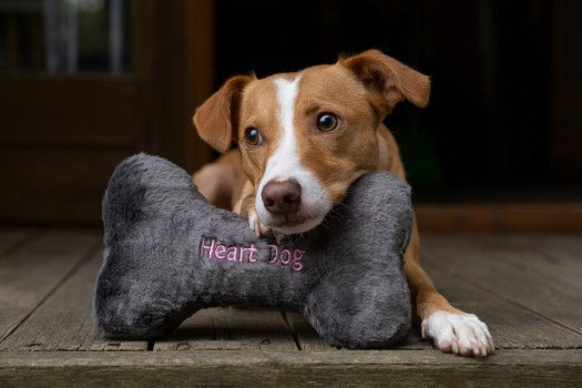 Fluff & Tuff Brown Heart Bone Dog Toy