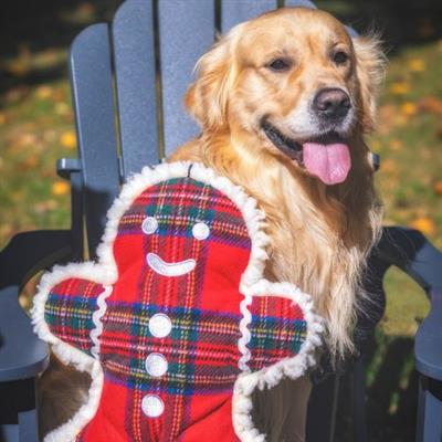 Dog holding a gingerbread man toy with a plaid pattern