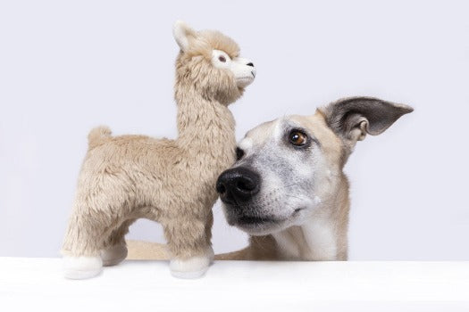 Fluff & Tuff Inca Alpaca Plush Dog Toy