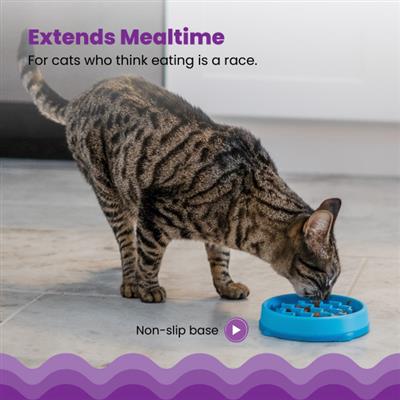 Kitty Slow Feeder Cat Bowl - X-Small