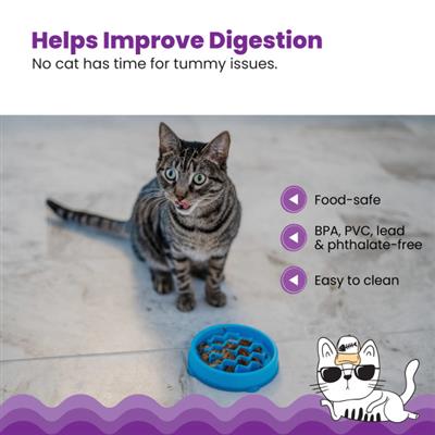 Kitty Slow Feeder Cat Bowl - X-Small