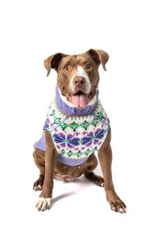 Dog wearing Chilly Dog Lavender Flowers Dog Sweater