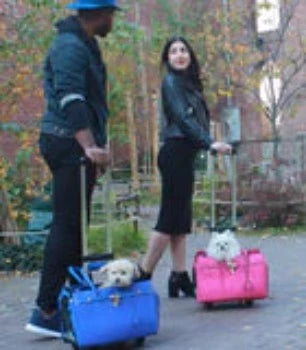 A Pet with Paws Madison Carrier With Pet-Trek®