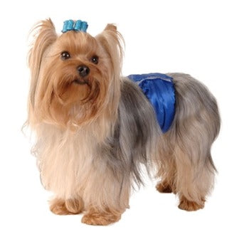 Max's Closet Royal Blue Dog Belly Band