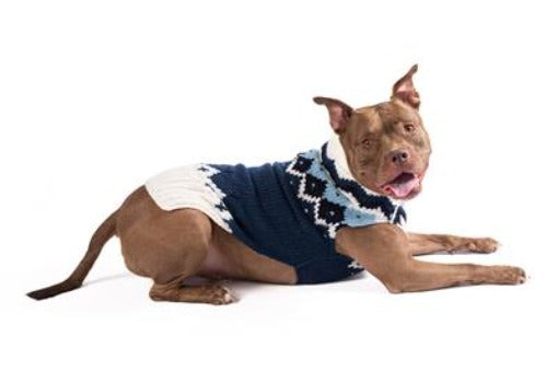 Dog wearing Chilly Dog Midnight Ski Blue dog sweater