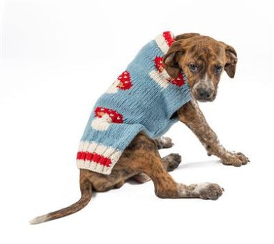 Dog wearing light blue Chilly Dog Mushroom Alpaca Sweater