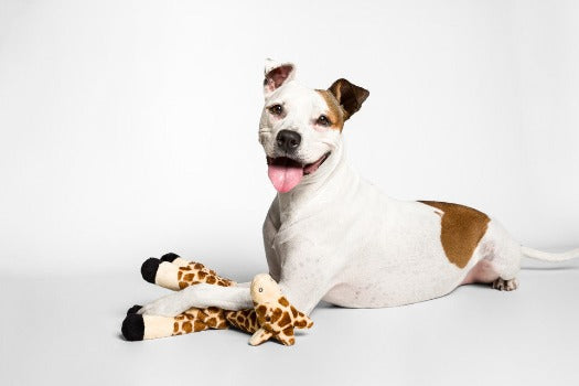 Fluff & Tuff Nelly Giraffe Plush Dog Toy
