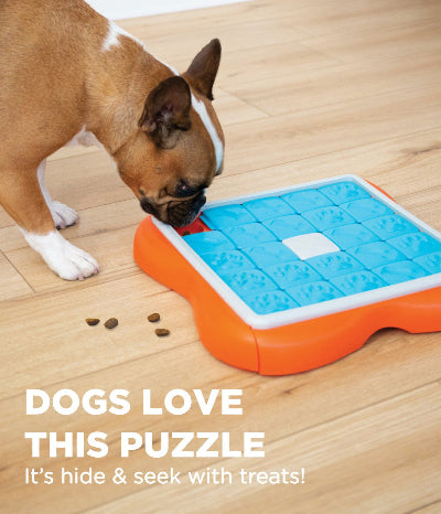 Challenge Slider Interactive Treat Puzzle Dog Toy