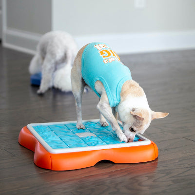 Challenge Slider Interactive Treat Puzzle Dog Toy
