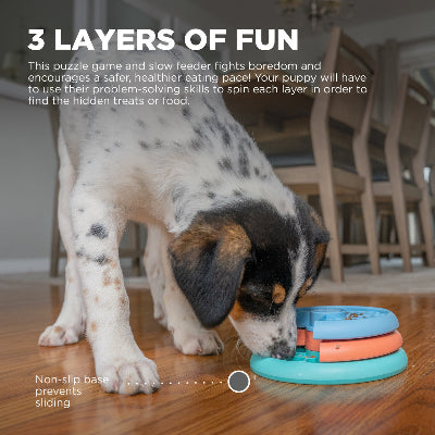 Nina Ottosson Puppy Lickin' Layers Dog Puzzle Game