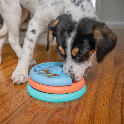 Nina Ottosson Puppy Lickin' Layers Dog Puzzle Game