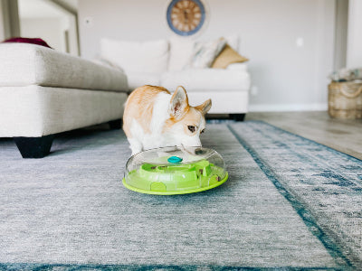 Wobble Bowl Interactive Treat Puzzle Dog Toy
