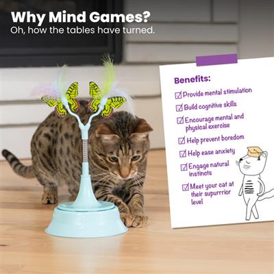 2-in-1 Flutter Toy Cat Toy and Cat Ball Track Topper